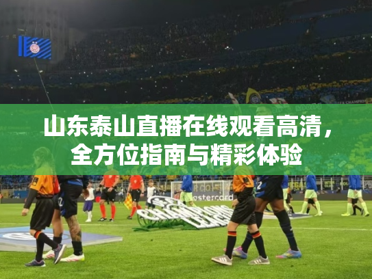 山东泰山直播在线观看高清，全方位指南与精彩体验