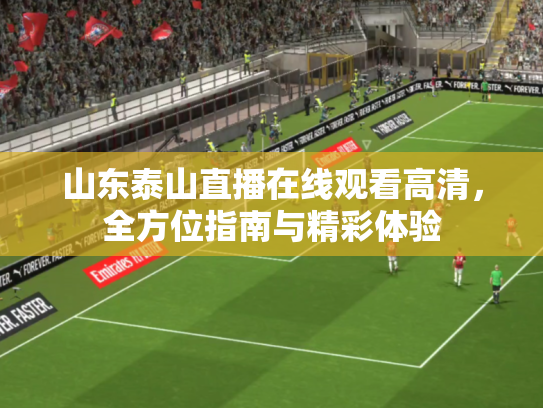 山东泰山直播在线观看高清，全方位指南与精彩体验