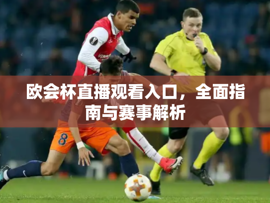 欧会杯直播观看入口，全面指南与赛事解析
