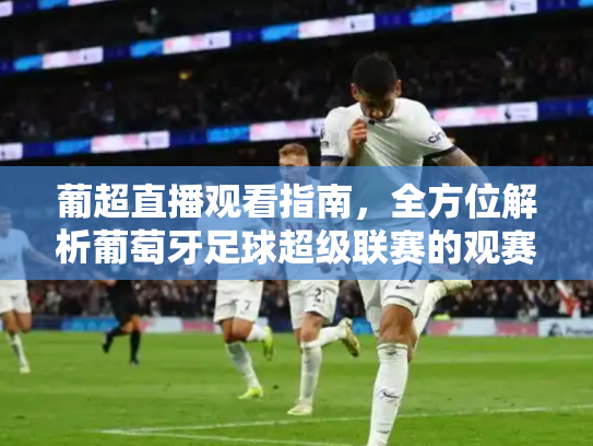 葡超直播观看指南，全方位解析葡萄牙足球超级联赛的观赛方式