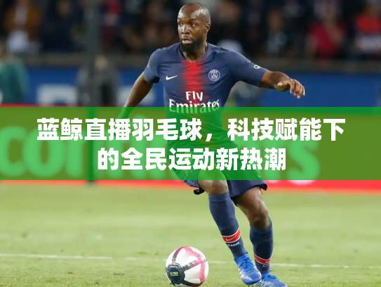 蓝鲸直播羽毛球，科技赋能下的全民运动新热潮