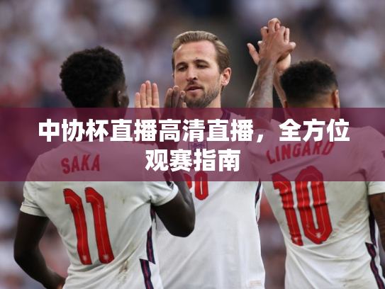 中协杯直播高清直播，全方位观赛指南