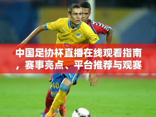 中国足协杯直播在线观看指南，赛事亮点、平台推荐与观赛攻略