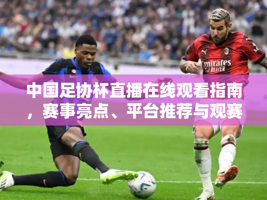 中国足协杯直播在线观看指南，赛事亮点、平台推荐与观赛攻略