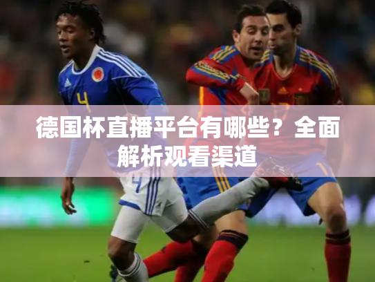德国杯直播平台有哪些？全面解析观看渠道