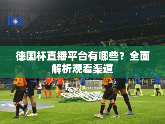 德国杯直播平台有哪些？全面解析观看渠道