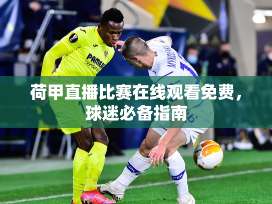 荷甲直播比赛在线观看免费，球迷必备指南
