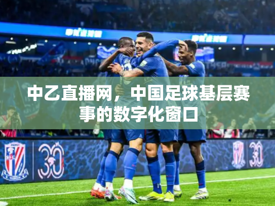 中乙直播网，中国足球基层赛事的数字化窗口