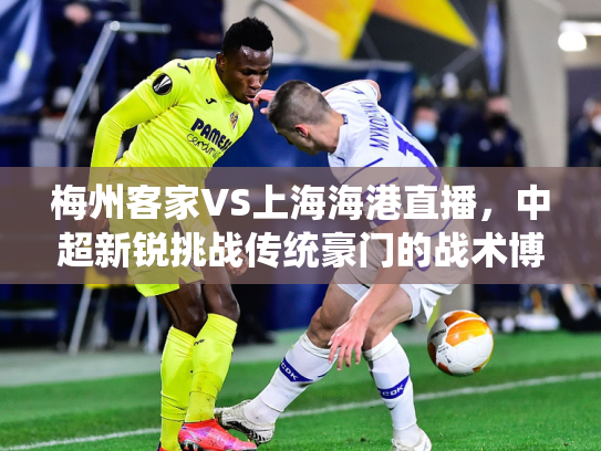 梅州客家VS上海海港直播，中超新锐挑战传统豪门的战术博弈与激情碰撞