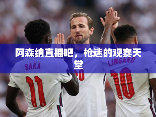 阿森纳直播吧，枪迷的观赛天堂