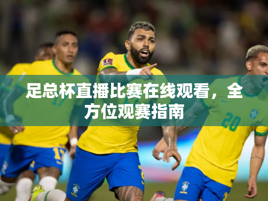 足总杯直播比赛在线观看，全方位观赛指南