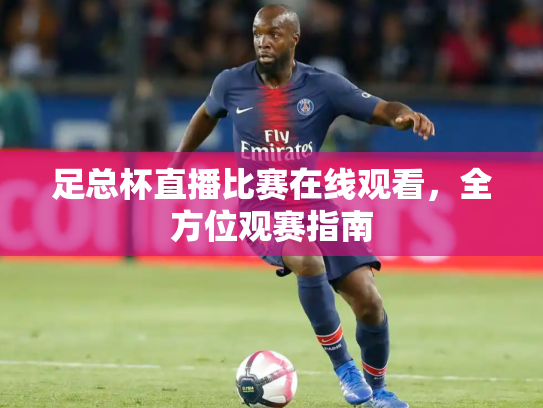 足总杯直播比赛在线观看，全方位观赛指南
