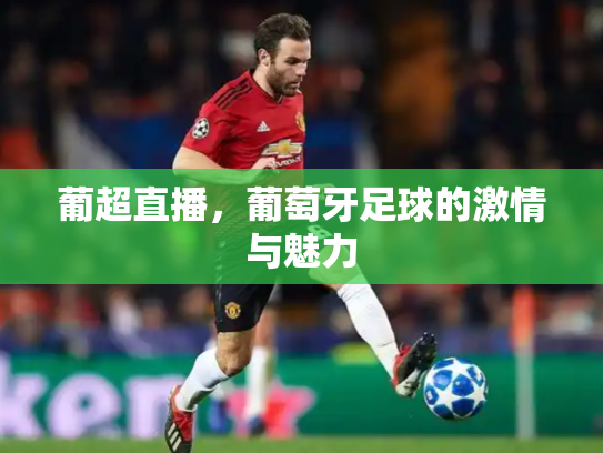 葡超直播，葡萄牙足球的激情与魅力