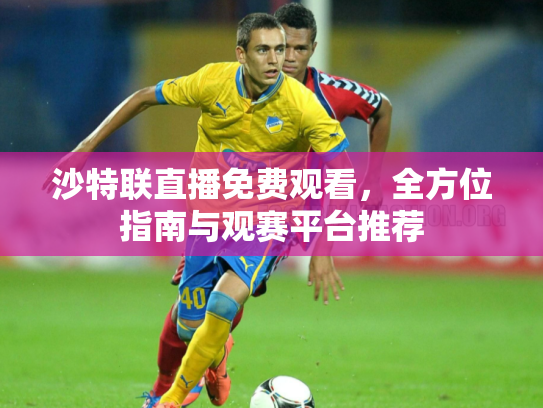 沙特联直播免费观看，全方位指南与观赛平台推荐