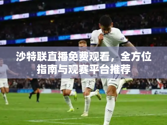 沙特联直播免费观看，全方位指南与观赛平台推荐