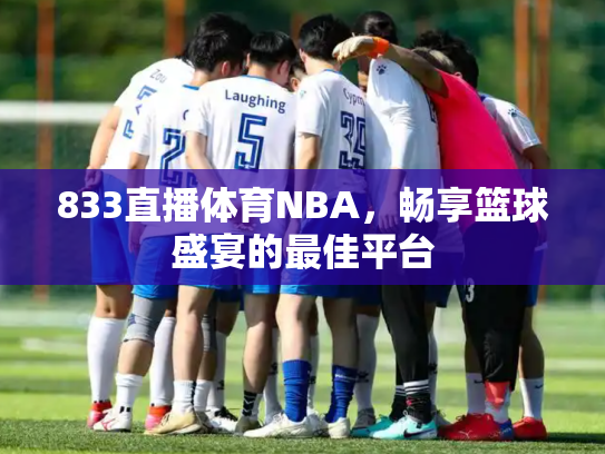 833直播体育NBA，畅享篮球盛宴的最佳平台