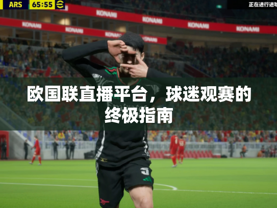 欧国联直播平台，球迷观赛的终极指南