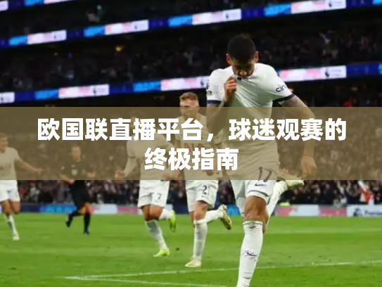 欧国联直播平台，球迷观赛的终极指南