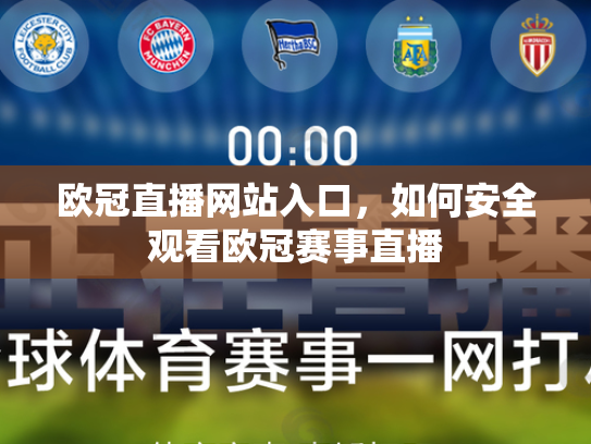欧冠直播网站入口，如何安全观看欧冠赛事直播