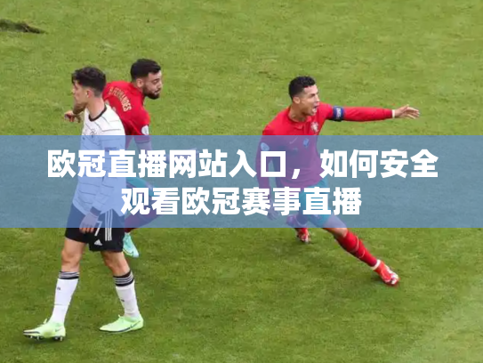 欧冠直播网站入口，如何安全观看欧冠赛事直播