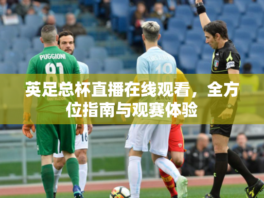 英足总杯直播在线观看，全方位指南与观赛体验