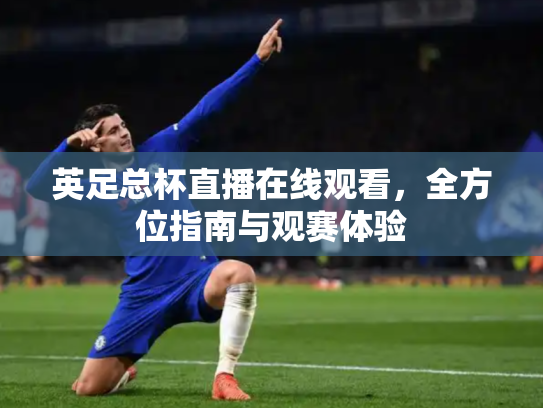 英足总杯直播在线观看，全方位指南与观赛体验