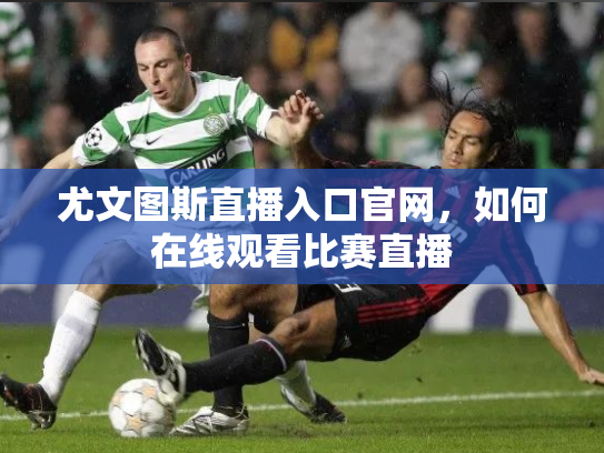 尤文图斯直播入口官网，如何在线观看比赛直播