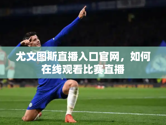 尤文图斯直播入口官网，如何在线观看比赛直播
