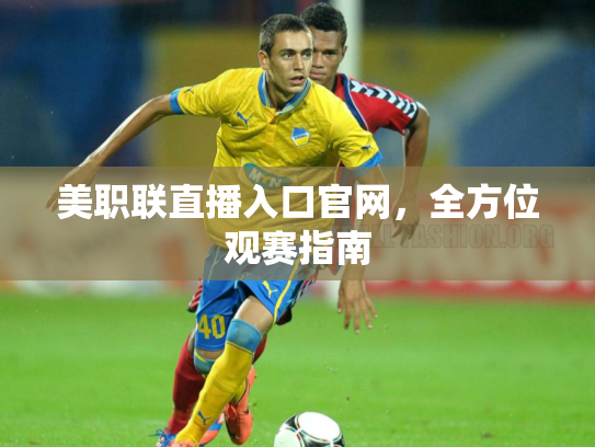 美职联直播入口官网，全方位观赛指南