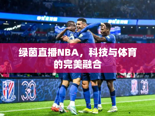 绿茵直播NBA，科技与体育的完美融合