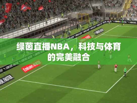 绿茵直播NBA，科技与体育的完美融合