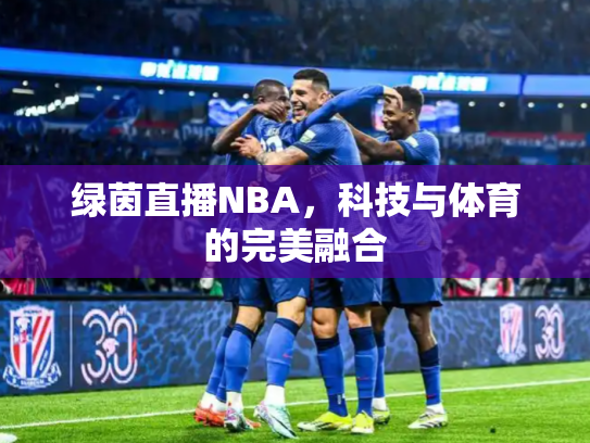 绿茵直播NBA，科技与体育的完美融合