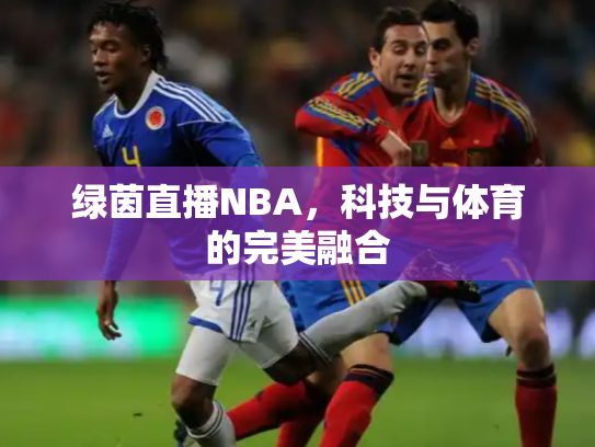 绿茵直播NBA，科技与体育的完美融合