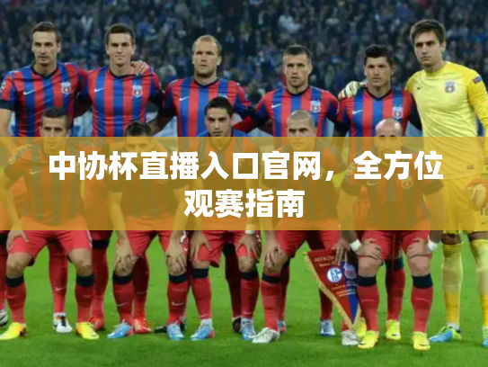 中协杯直播入口官网，全方位观赛指南