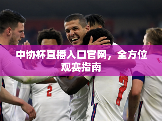 中协杯直播入口官网，全方位观赛指南