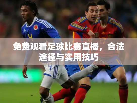 免费观看足球比赛直播，合法途径与实用技巧