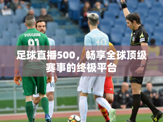 足球直播500，畅享全球顶级赛事的终极平台