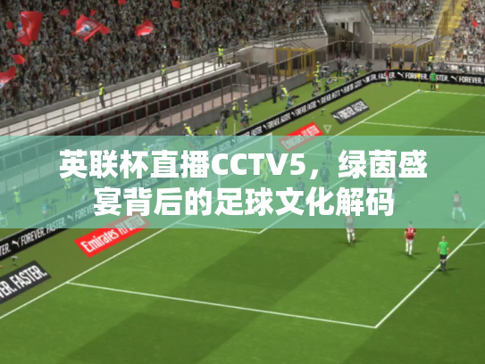 英联杯直播CCTV5，绿茵盛宴背后的足球文化解码