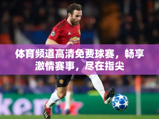 体育频道高清免费球赛，畅享激情赛事，尽在指尖