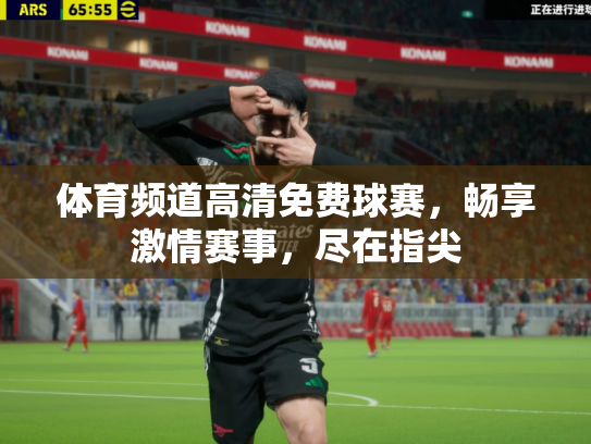 体育频道高清免费球赛，畅享激情赛事，尽在指尖