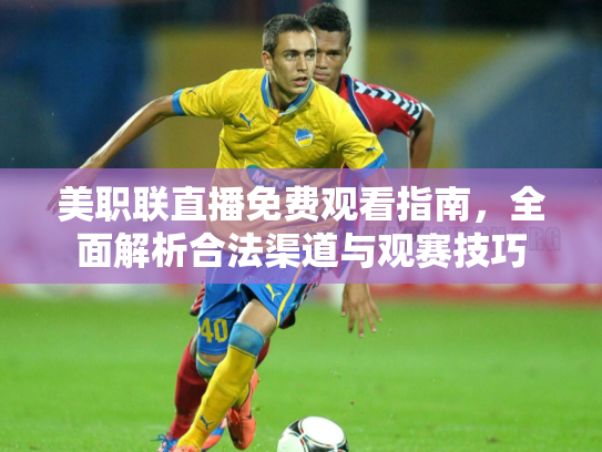 美职联直播免费观看指南，全面解析合法渠道与观赛技巧