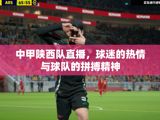 中甲陕西队直播，球迷的热情与球队的拼搏精神