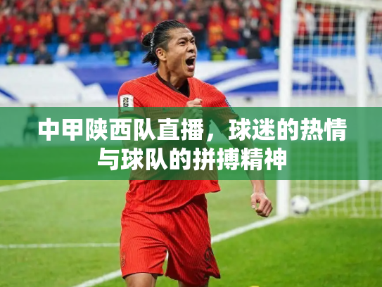 中甲陕西队直播，球迷的热情与球队的拼搏精神
