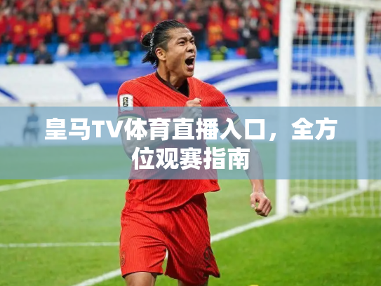 皇马TV体育直播入口，全方位观赛指南