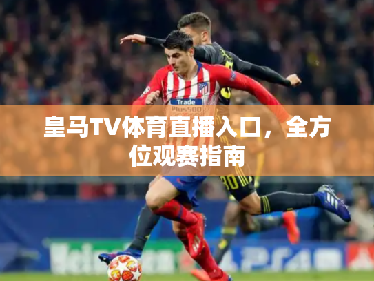 皇马TV体育直播入口，全方位观赛指南