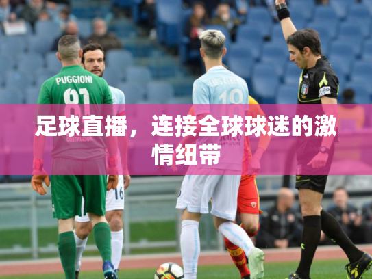 足球直播，连接全球球迷的激情纽带