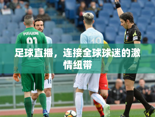 足球直播，连接全球球迷的激情纽带
