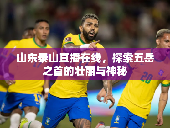 山东泰山直播在线，探索五岳之首的壮丽与神秘