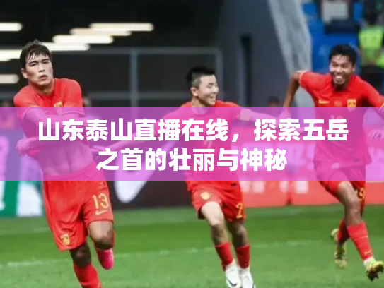 山东泰山直播在线，探索五岳之首的壮丽与神秘