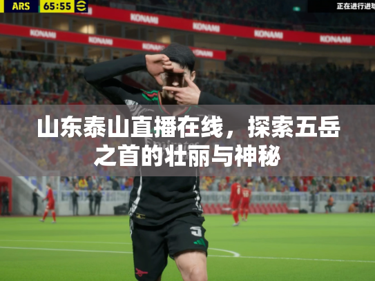 山东泰山直播在线，探索五岳之首的壮丽与神秘
